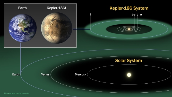 Kepler-186 system compared to the inner solar system